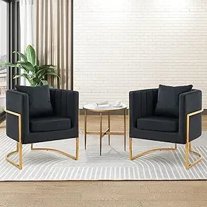 Velvet Modern Accent Chairs Set of 2, Upholstered Barrel Armchair Mid Century with Pillow for Living Room, Comfy Single Vanity C