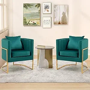 Velvet Modern Accent Chairs Set of 2, Upholstered Barrel Armchair Mid Century with Pillow for Living Room, Comfy Single Vanity C
